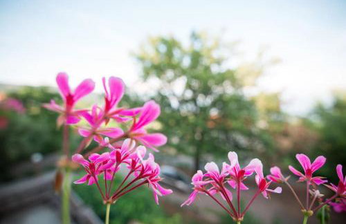 Zgora mora-above the sea-peacefull,family frendly - Foto 34