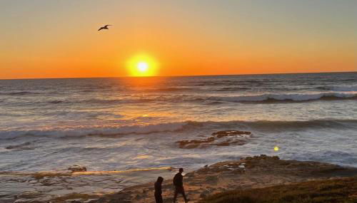 Bonair Beauty - Foto 4