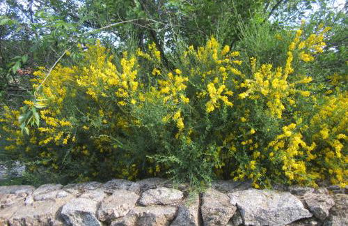 Holiday Home La Asomailla - Photo 39