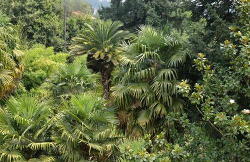 Casa Dos Cregos - Foto 59