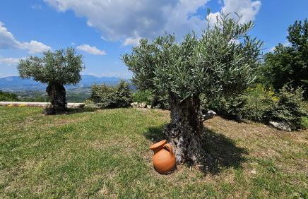 Casa dell’ Orso - Photo 7