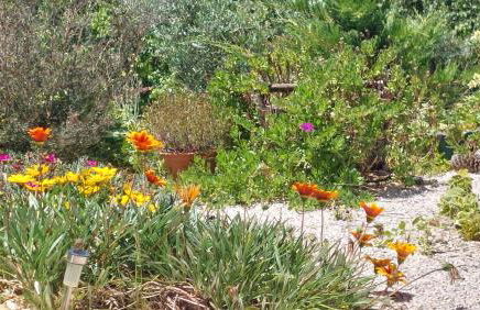 Quinta De Oliveiras - Foto 45