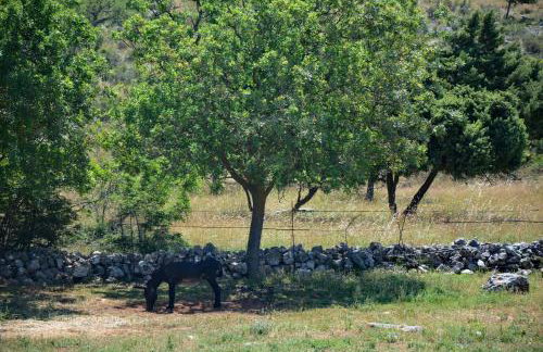 Apartman Marija - Photo 73