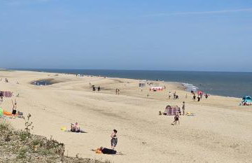 The Lucky 7 - Photo 10