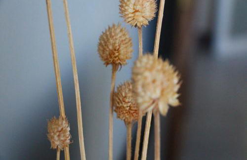 Casa Vista Pájaro - Photo 58