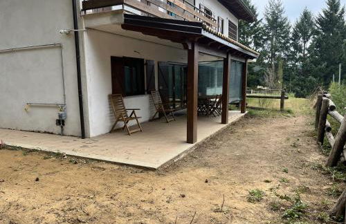 Tra il bosco e il lago - Foto 5