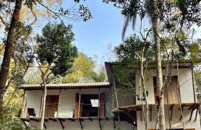 Bosque na Montanha Encantada - Foto 49