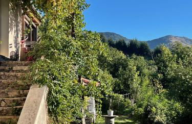 Les Vignals gîtes et événements Cévennes - Foto 75