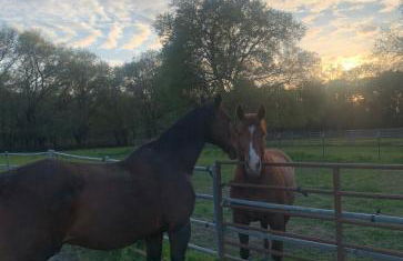 Sac Camp Delta Garden Retreat - Foto 11