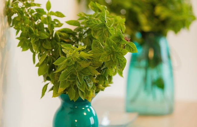 Hill & Sea View Villas - Foto 20