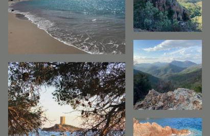 Domaine Valescure vue Piscine ou Pinede - Wifi - Foto 65