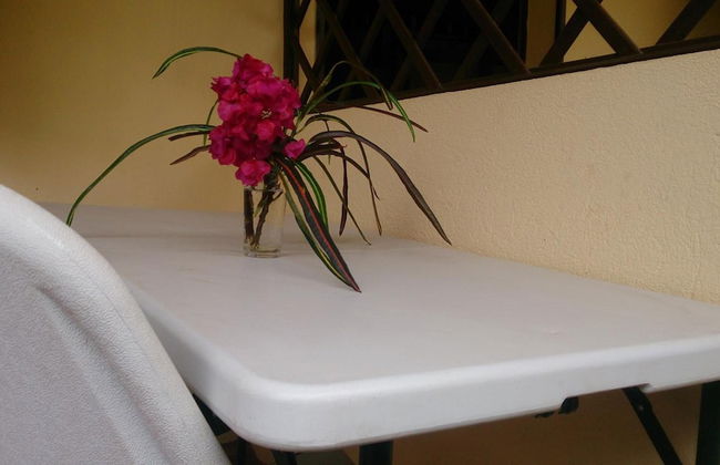 Les Flots Bleus - Foto 64