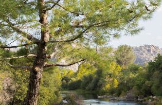 Epic View A Luxury House on a Hill River 10 min - Foto 36