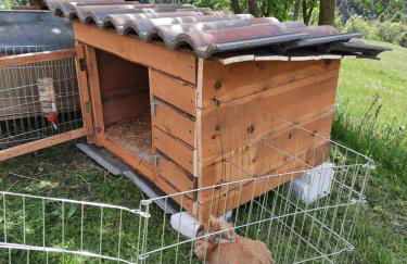 Agriturismo Ferienhof Gschloier - Adults Only - Photo 25