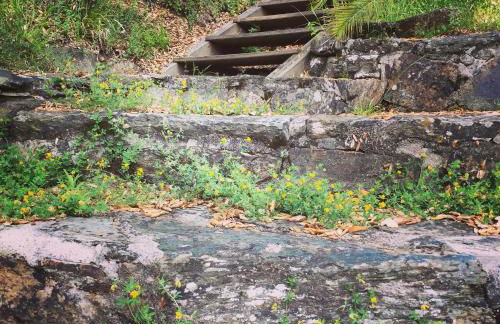 O Muíño da Balsiña - Foto 46