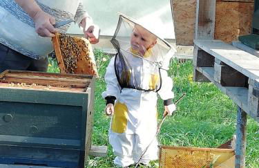 Ferienhof Schwäbe - Foto 17