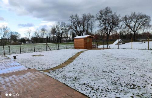 Casa Montefiore 13 Girasoli LT nella tranquilla campagna Marchigiana - Foto 41