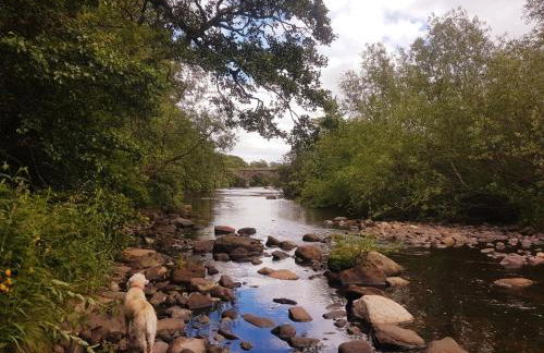 Otter Lodge - Photo 24