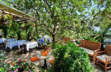 Agriturismo Fattoria Terranova - Foto 46