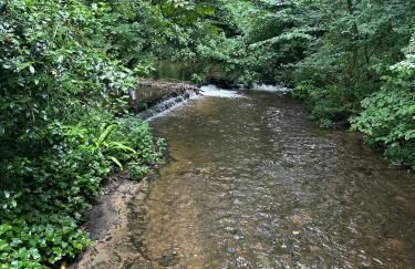 Station House Holiday Cottages, Exclusively For Grown Ups, Thornton Dale - Foto 80