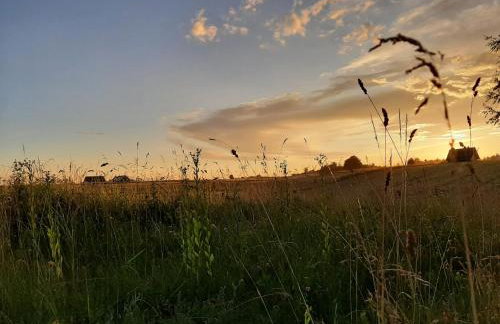 GREEN HOUSE - Foto 8