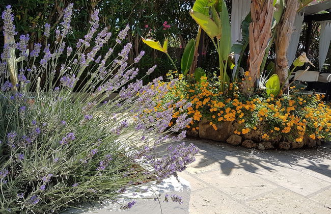 La Giara Resort - Photo 28