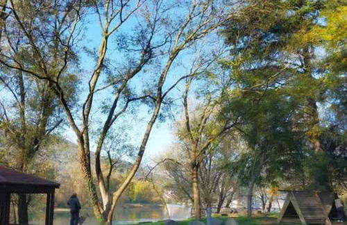 Residenza La Cascata - Foto 45