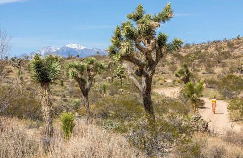 The Bungalows by Homestead Modern - Foto 7