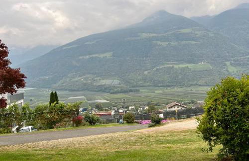 Klostergut - Foto 46