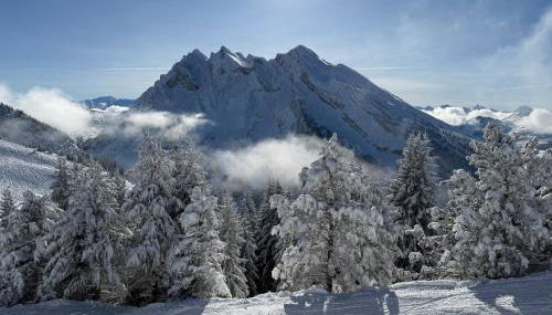 Les bouquetins - Foto 2
