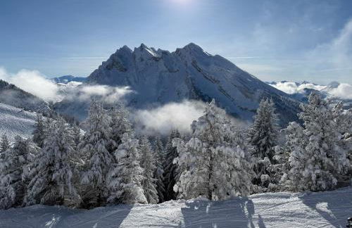 Les bouquetins - Foto 2