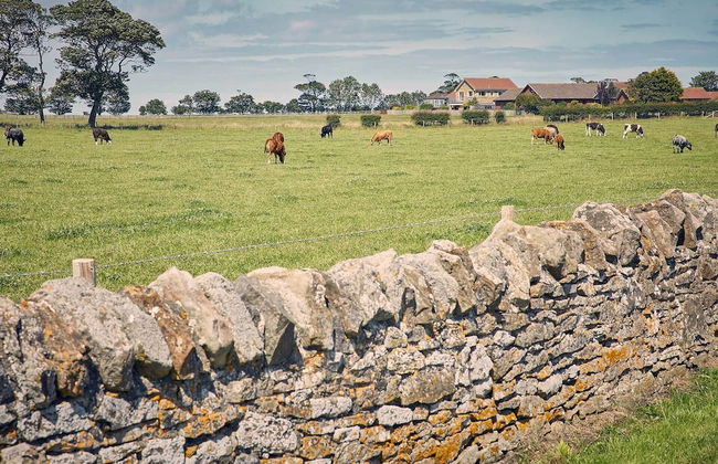 Host Stay Cheviot View - Foto 20