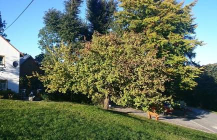 Ferienwohnung Hägelhof - Foto 20