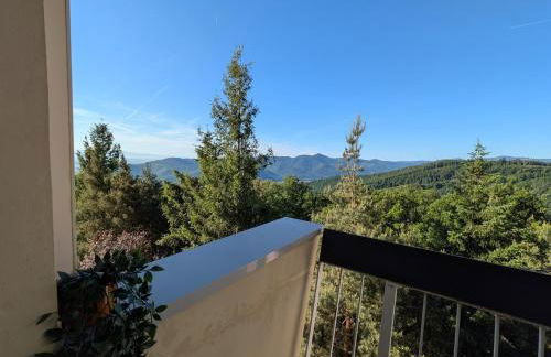 Les 3 Zepp - Foto 24