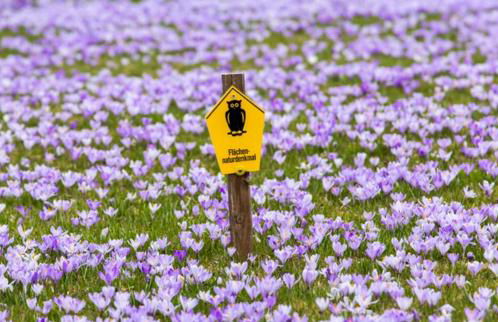 Ferienwohnung Rotbuche - Foto 31