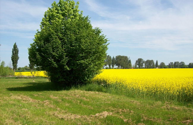 Gorgeous Apartment in Neuburg With Terrace - Foto 61