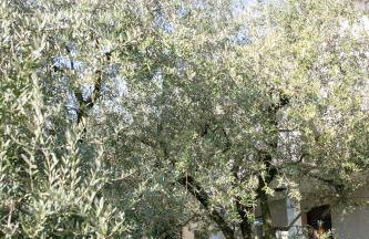 IseoLakeRental - Casa La Rondine - Photo 30