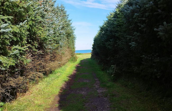 Secluded Oasis With Pool - By Traum Ferienwohnungen - Foto 11