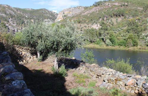 O Palheiro - Vista Panorâmica e Jacuzzi - Foto 49