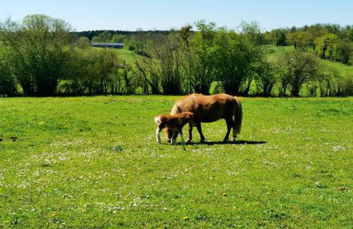 Maison accueillante avec jardin - Le Fied - Foto 17
