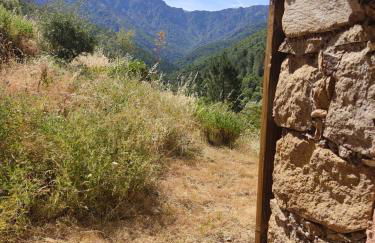 Les bergeries de Montestremo - Foto 11