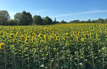 Gîte de la ferme L'Archerie - Foto 20