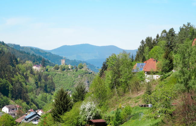 Sonnenschein - Foto 22