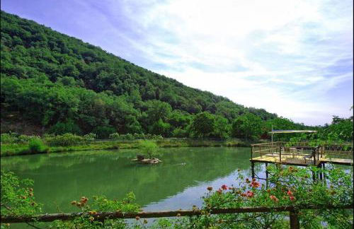 Agriturismo Fattoria Celle - Photo 8