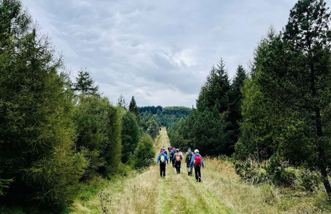 Chalet & Apart Fichtelberger - Blick - Foto 62