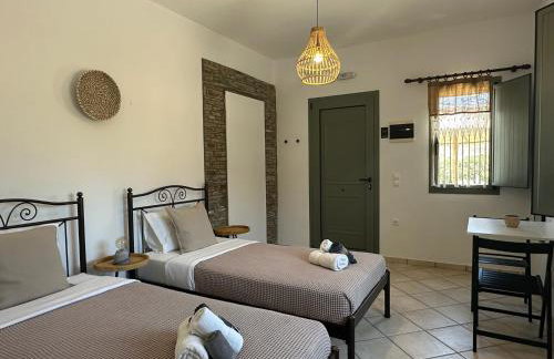 Ammos Andros Accommodation - Photo 41