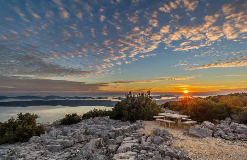 Robinson house Orkula in the heart of olive's yard - Foto 17