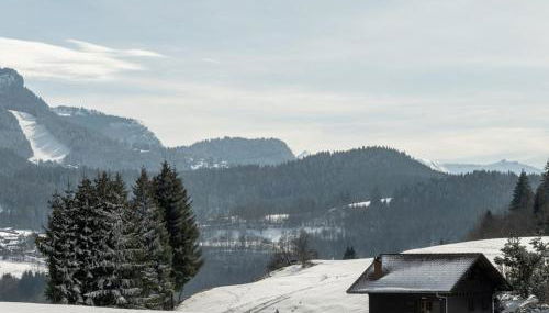 Appartement 2 pièces 4 pers terrasse parking Les Carroz d'Arâches - FR-1-572-293 - Foto 2