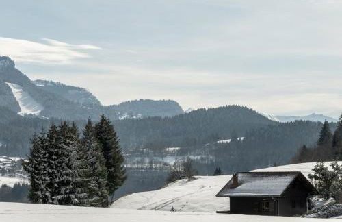 Appartement 2 pièces 4 pers terrasse parking Les Carroz d'Arâches - FR-1-572-293 - Foto 2