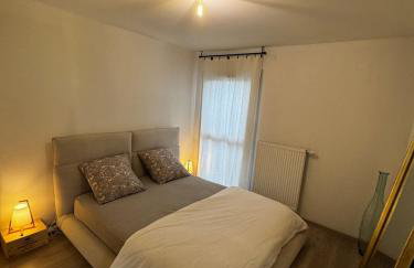 T2 cosy à Saint-Julien-en-Genevois, jardin privatif et parking - Foto 11